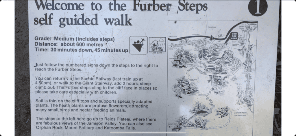 雪梨藍山景觀世界登山路線Furber Steps