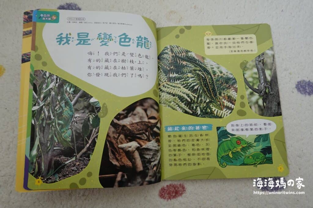 團購|康軒學習雜誌完整介紹 + 獨家加碼贈品 📸 康軒學期雜誌自然放大鏡頁面(變色龍的介紹)