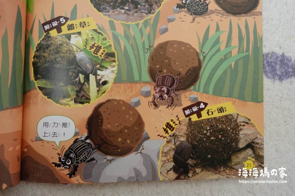 團購|康軒學習雜誌完整介紹 + 獨家加碼贈品 DSC01965 blog
