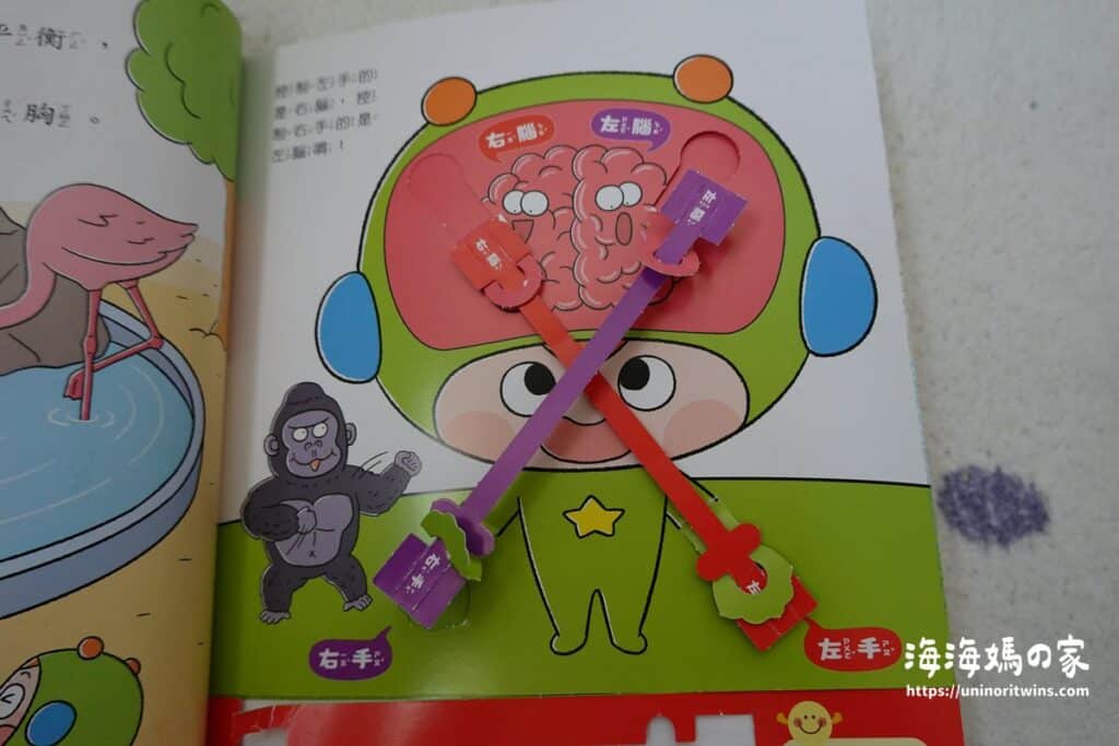 團購|康軒學習雜誌完整介紹 + 獨家加碼贈品 康軒學期雜誌學前版top主題館內頁