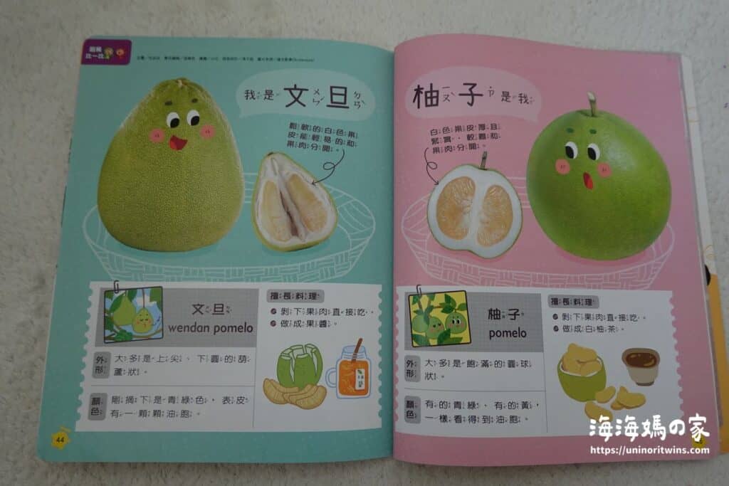 團購|康軒學習雜誌完整介紹 + 獨家加碼贈品 文旦和柚子的不同