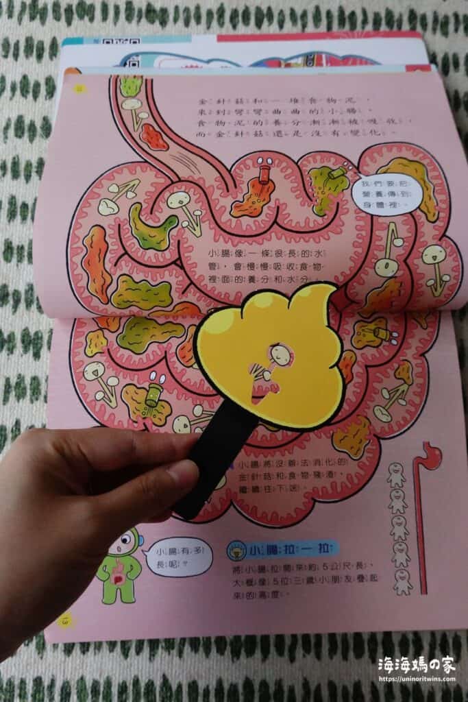 團購|康軒學習雜誌完整介紹 + 獨家加碼贈品 DSC02034 blog 1